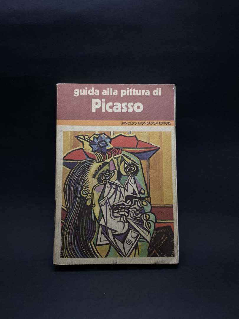 guida alla pittura di Picasso