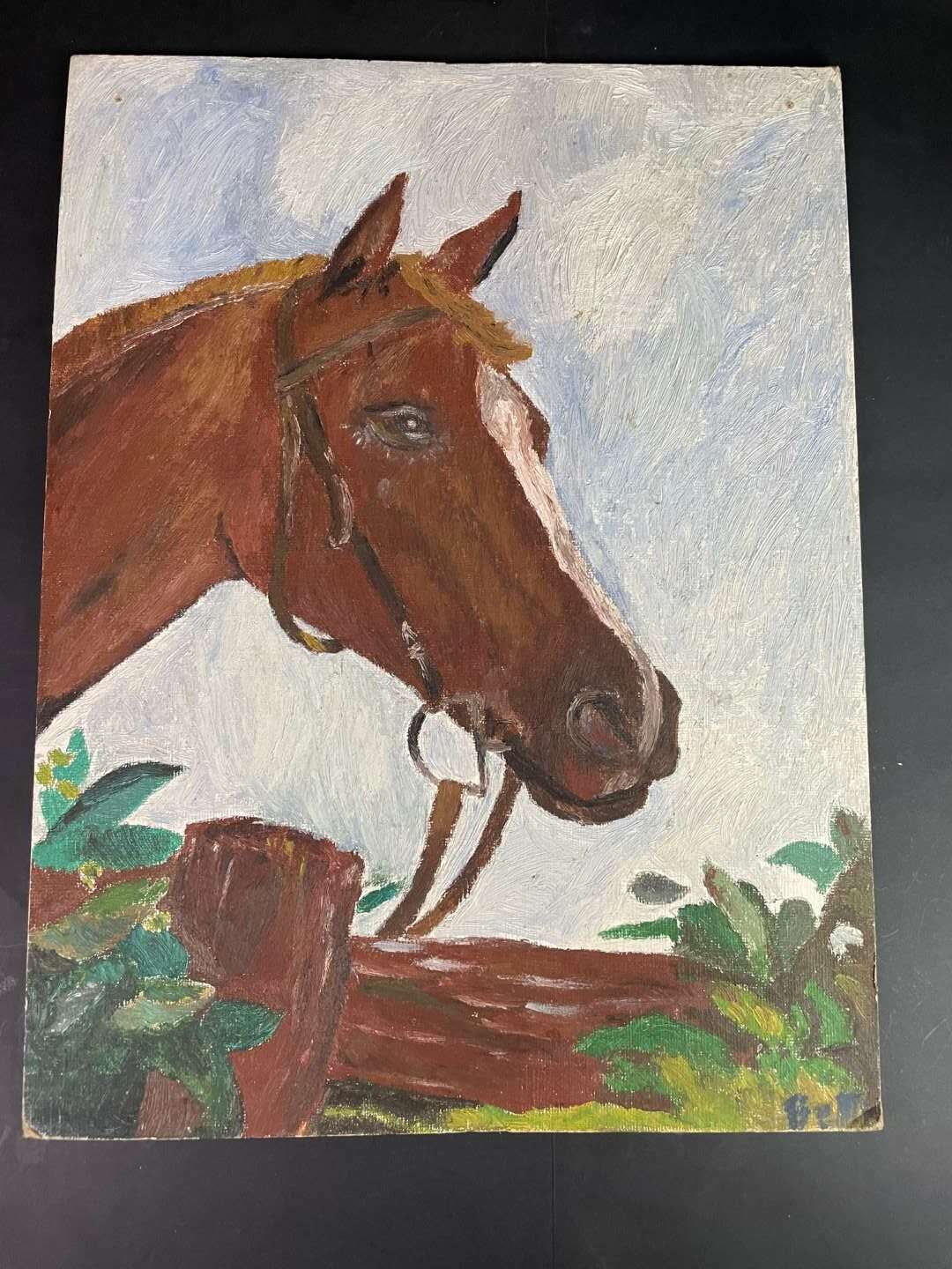 Πίνακας ζωγραφικής με σχέδιο άλογο 40x30cm