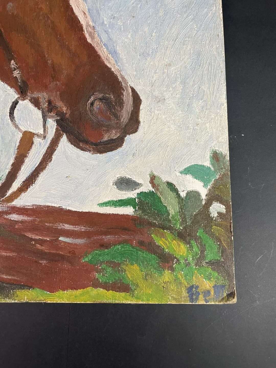 Πίνακας ζωγραφικής με σχέδιο άλογο 40x30cm